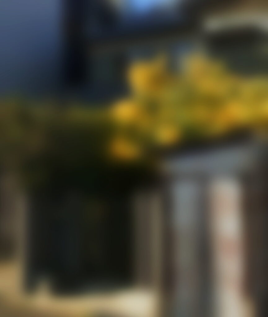 安福久美子 自宅住所