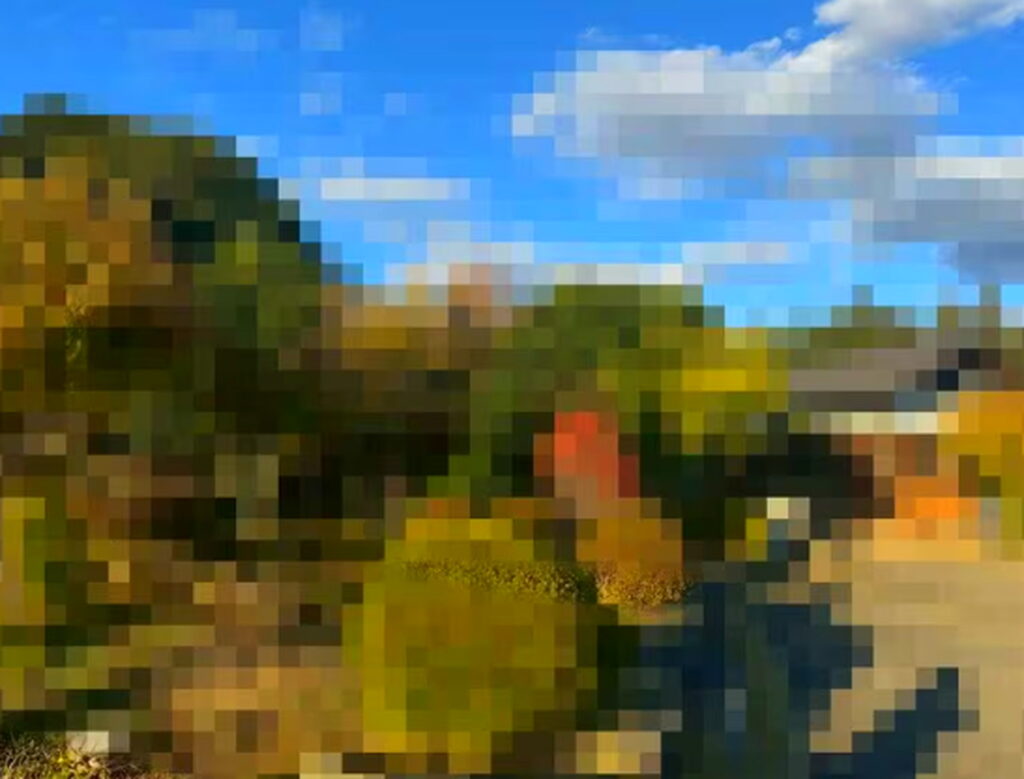 赤坂ライブハウス 大津陽一郎 実家 集英社オンライン