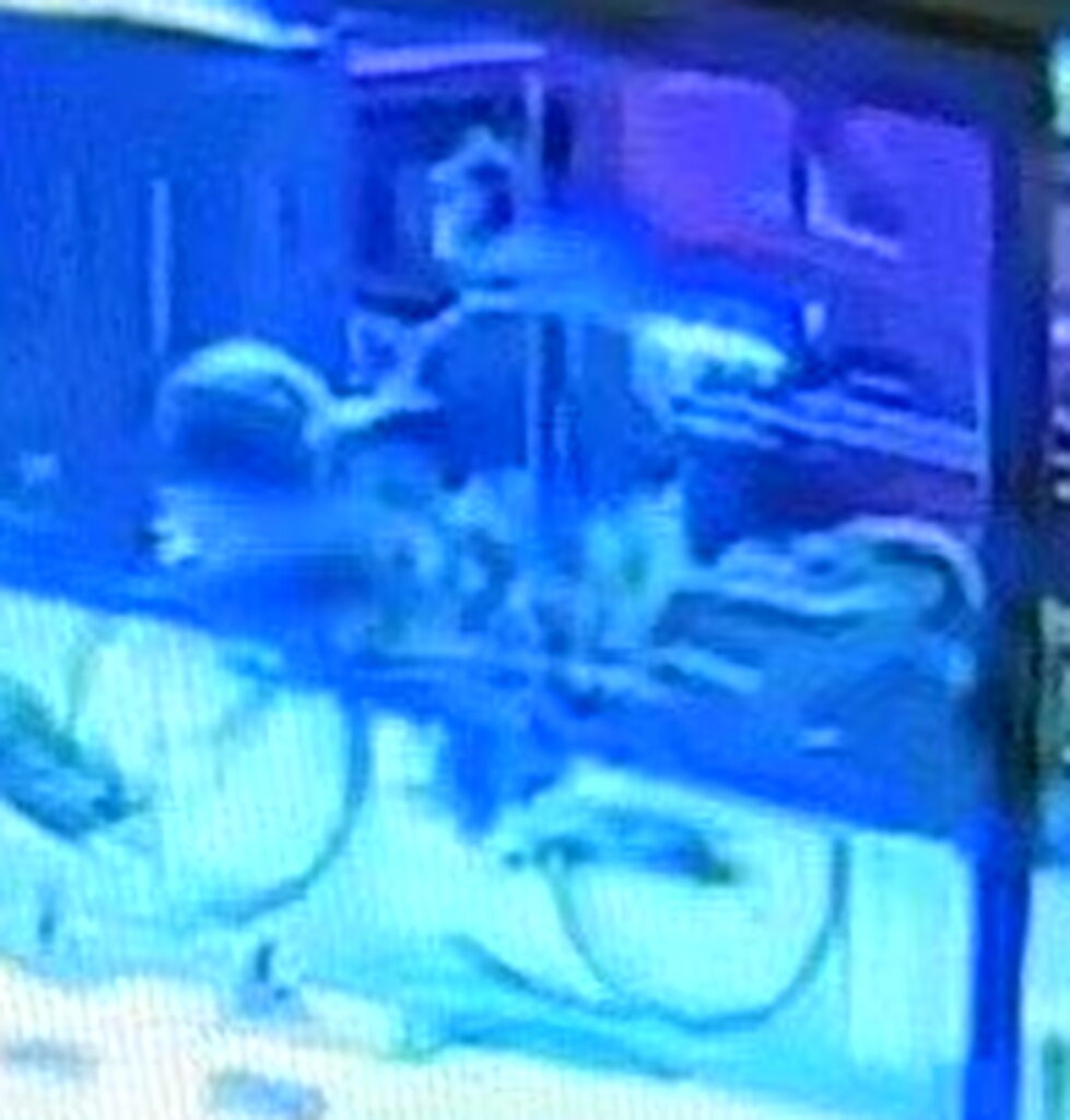 赤坂ライブハウス 犯人 大津陽一郎 防犯カメラ 集英社オンライン